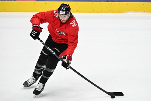 Двусторонка «Авангарда»