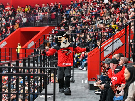 «Авангард» - «Амур» 4:1. Вокруг матча