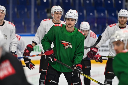 Раскатка «Авангарда» перед матчем в Уфе