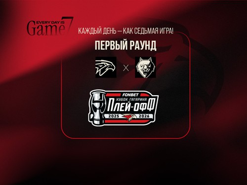 Наш соперник в первом раунде плей-офф: «Нефтехимик» (Нижнекамск)