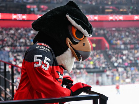 «Авангард» - «Витязь» 3:1. Вокруг матча