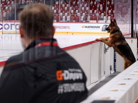 Раскатка «Авангарда» перед матчем в Челябинске