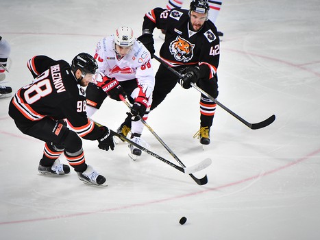 17.11.2016. "Амур" - "Авангард" 0:3