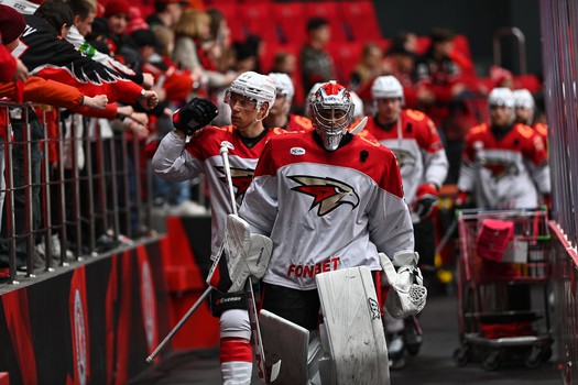 20.03.2025. «Витязь» - «Авангард» 2:3 ОТ