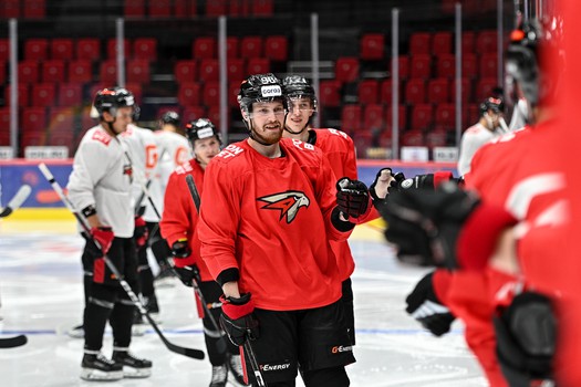 Двусторонка «Авангарда»