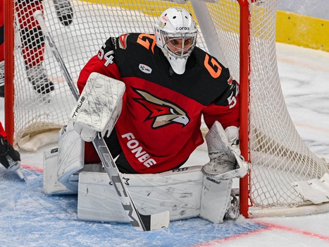 29.01.2025. «Авангард» - «Салават Юлаев» 2:4