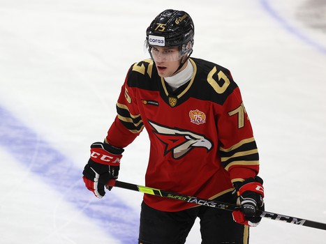 30.11.2021. «Авангард» - «Нефтехимик» 6:1