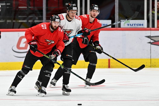 Тренировка «Авангарда» в Омске