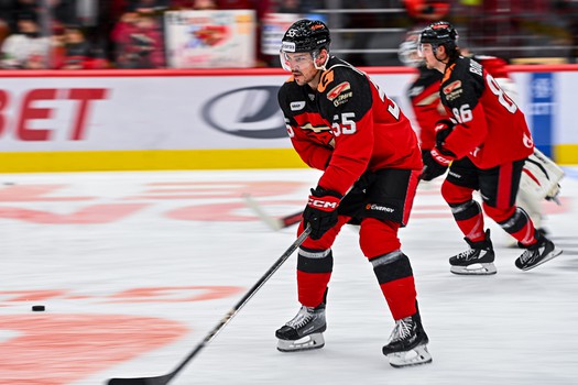 29.11.2023. «Авангард» - «Витязь» 4:1