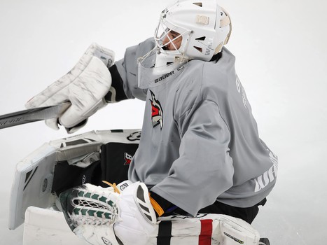 Раскатка «Авангарда» перед матчем с «Трактором»