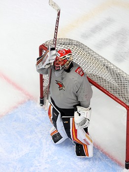 «Авангард» тренируется в Балашихе