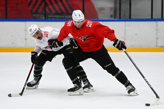 Тренировка «Авангарда» в Хоккейной Академии