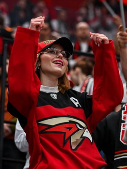 «Авангард» - «Металлург» 1:3. Вокруг матча