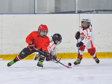 Ветераны «Авангарда» - сборная Ночной хоккейной лиги 8:4