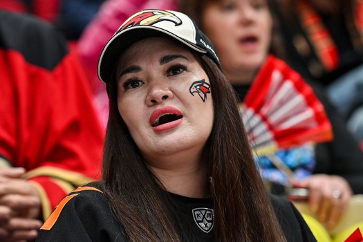 «Авангард» - «Сибирь» 3:2 ОТ. Вокруг матча