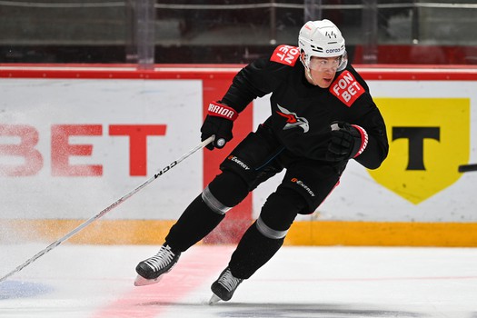 Раскатка «Авангарда» перед матчем в Балашихе