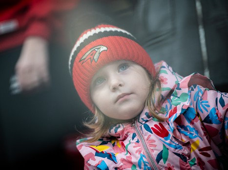 «Авангард» - «Динамо» 1:3. Вокруг матча