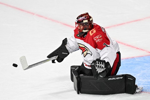 19.12.2022. «Салават Юлаев» - «Авангард» 1:2 Б