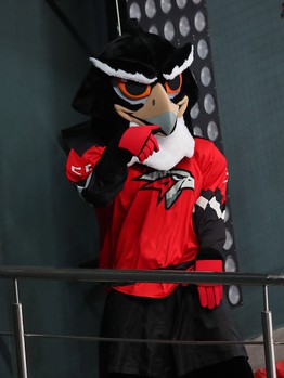 22.09.2019. «Авангард» -  «Куньлунь Ред Стар» 5:2