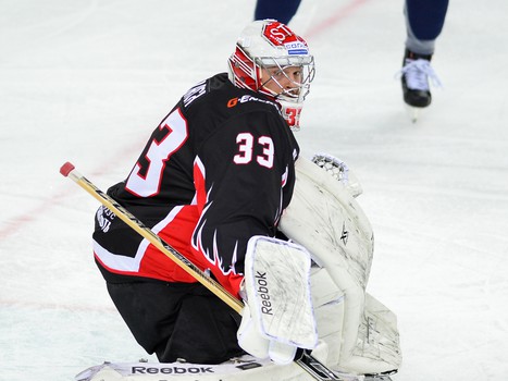 17.01.2016. "Авангард" - "Динамо" Мн 8:1