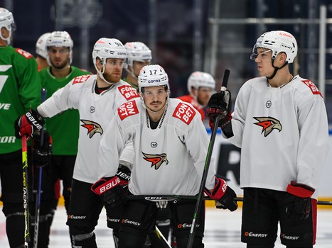 Тренировка «Авангарда» перед матчем в Новосибирске