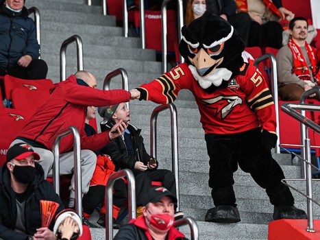 «Авангард» - «Металлург» 4:2. Вокруг матча