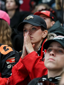 «Авангард» - «Динамо» Мск 7:4. Вокруг матча