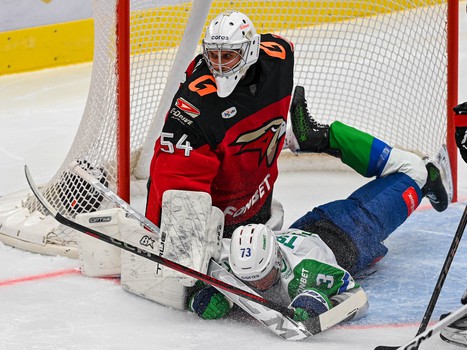 29.01.2025. «Авангард» - «Салават Юлаев» 2:4