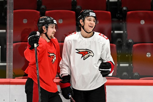 Раскатка «Авангарда» перед матчем с «Трактором»