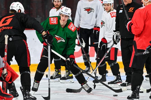 Раскатка «Авангарда» перед матчем в Екатеринбурге