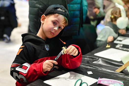 «Авангард» - «Лада» 4:3 Б. Вокруг матча