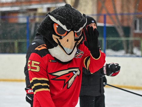 Уроки хоккея проходят в 10 школах Омска