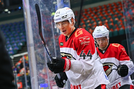 02.11.2023. СКА - «Авангард» 3:5