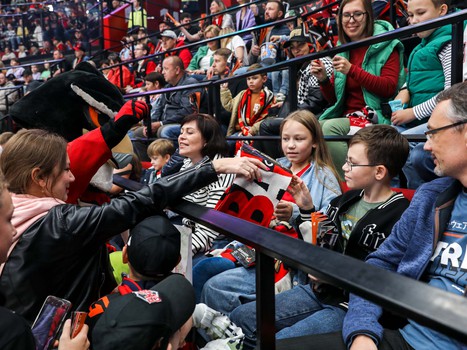 «Авангард» - «Нефтехимик» 5:1. Вокруг матча