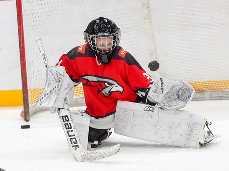 Товарищеский матч. Команда Хартли – Авангард Kids