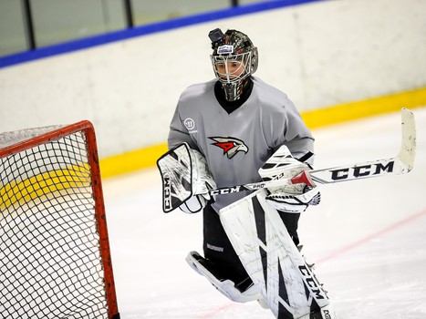 Новички «Авангарда». Александр Судницин