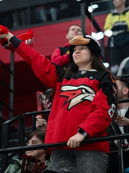 «Авангард» - «Нефтехимик» 4:3 OT. Вокруг матча