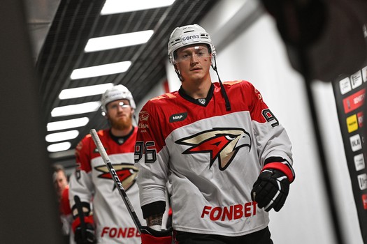 23.11.2023. «Салават Юлаев» - «Авангард» 3:1