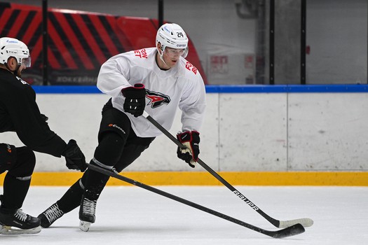 Тренировка «Авангарда» в Хоккейной Академии