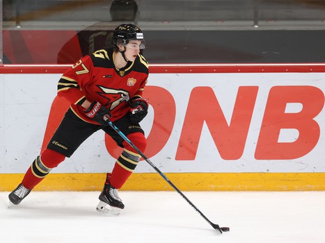 15.11.2021. «Авангард» - «Витязь» 3:0