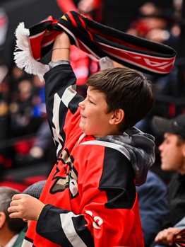 «Авангард» - «Витязь» 3:1. Вокруг матча