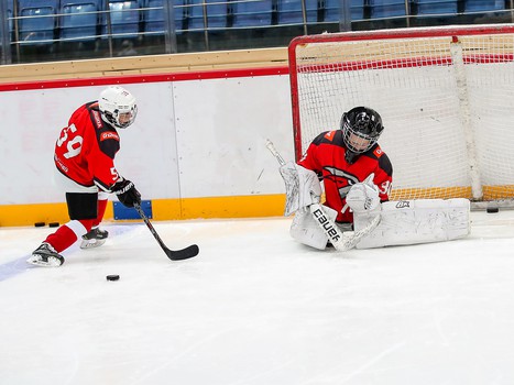 Товарищеский матч. Команда Хартли – Авангард Kids