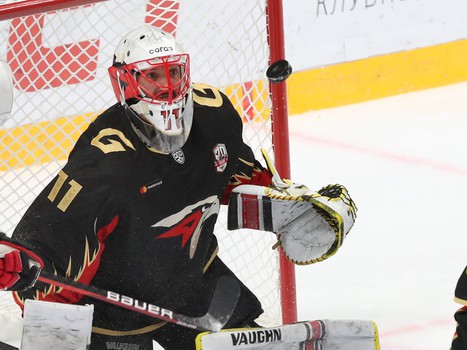 23.12.2020. «Авангард» - «Барыс» 1:3