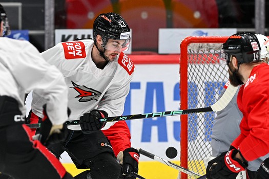 Раскатка «Авангарда» перед матчем с «Ладой»