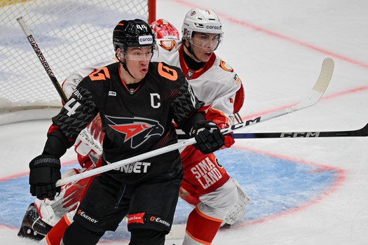 05.02.2026. «Авангард» - «Автомобилист» 2:3 ОТ