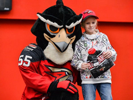 «Авангард» - «Сибирь» 3:2 ОТ. Вокруг матча