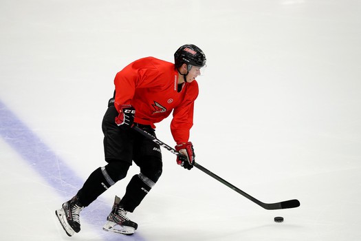 Снова на льду. «Авангард» вернулся к работе