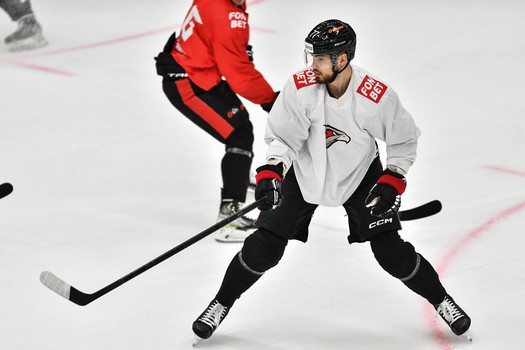 Двусторонний матч «Авангарда»