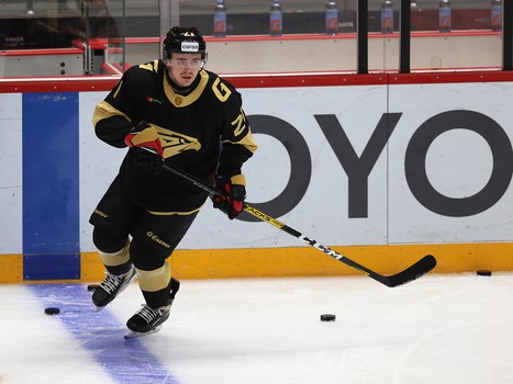 07.11.2021. «Авангард» - «Динамо» Москва 1:3