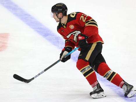 15.11.2021. «Авангард» - «Витязь» 3:0